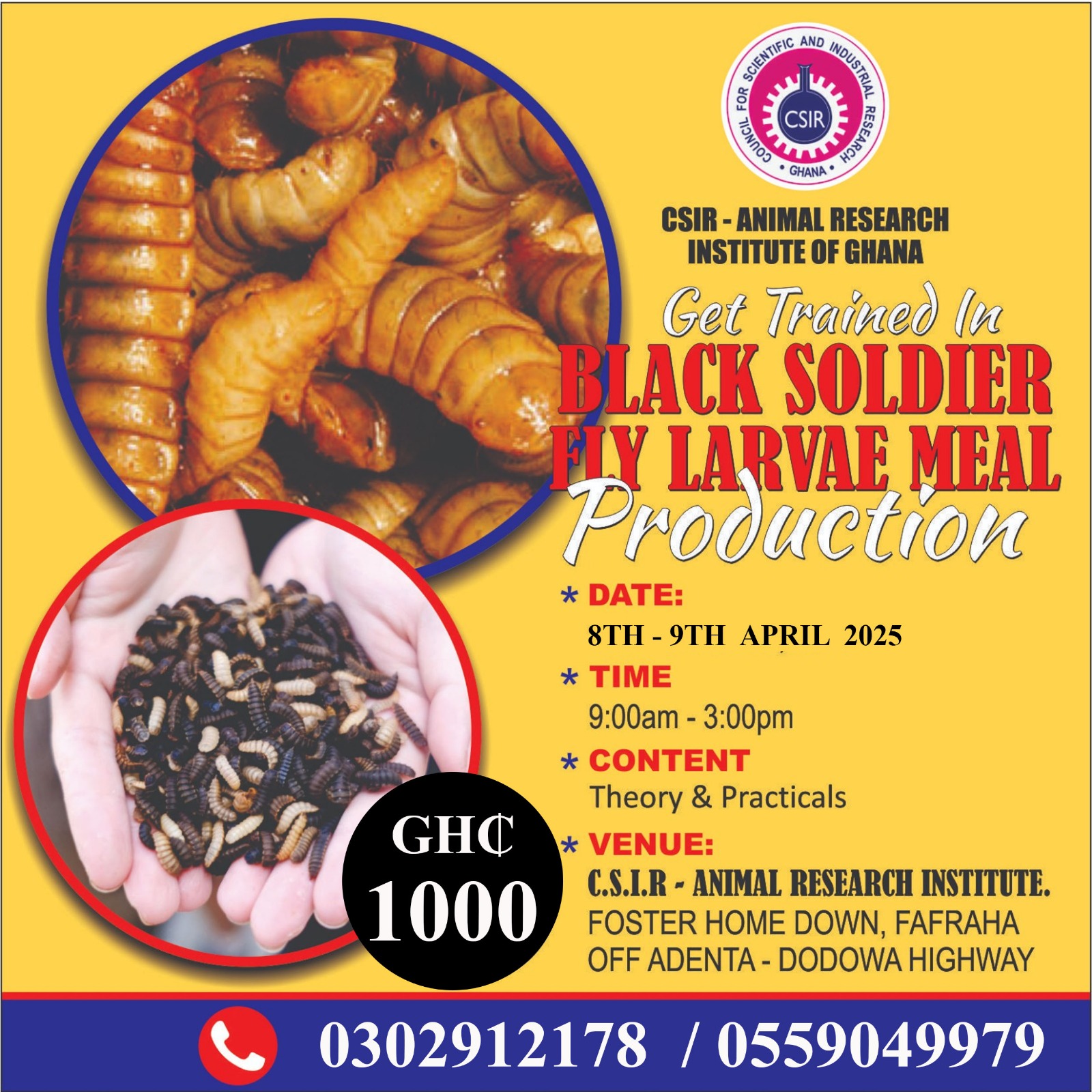 flye-larvae-meal-.jpg