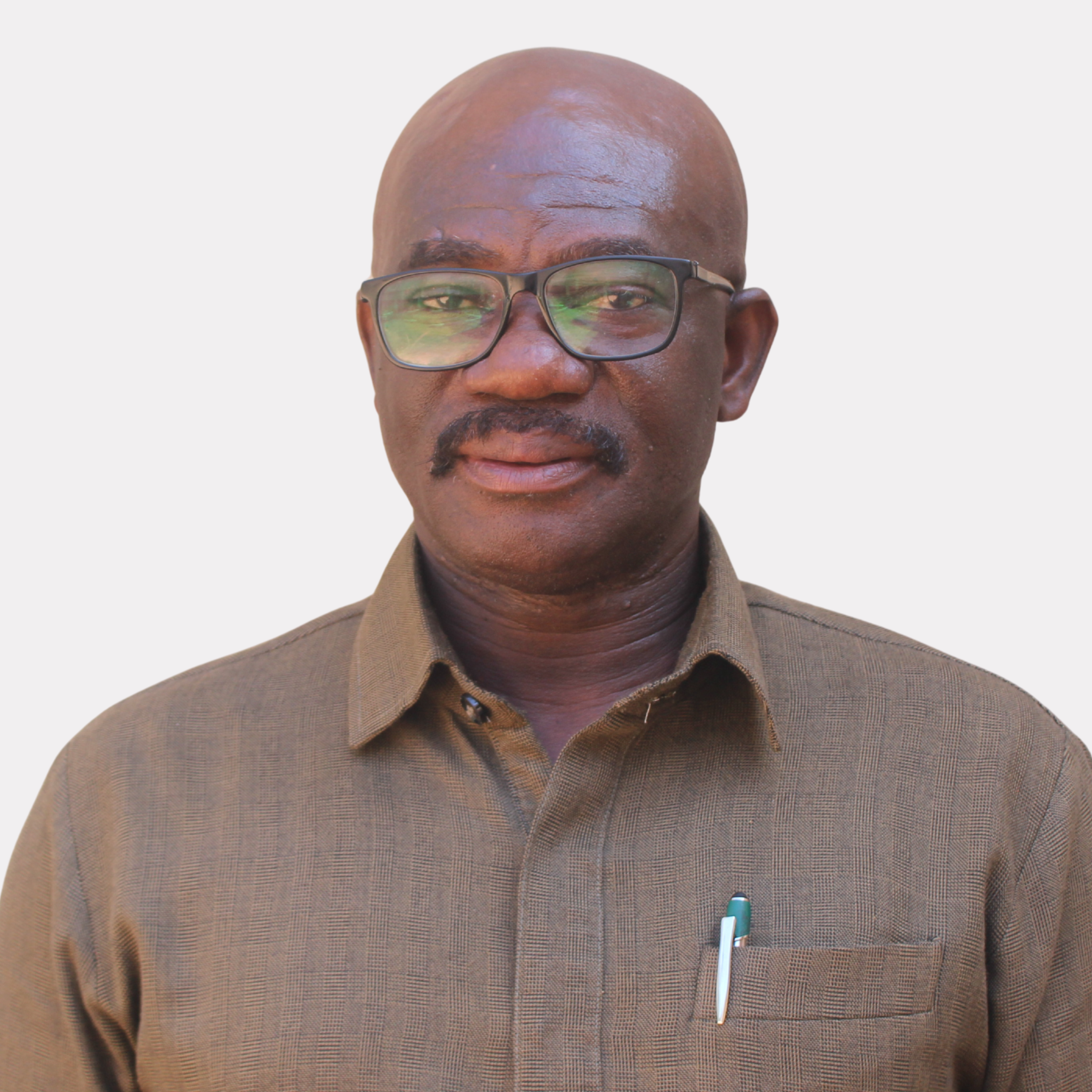 Prof. Mike Y. Osei-Atweneboana
