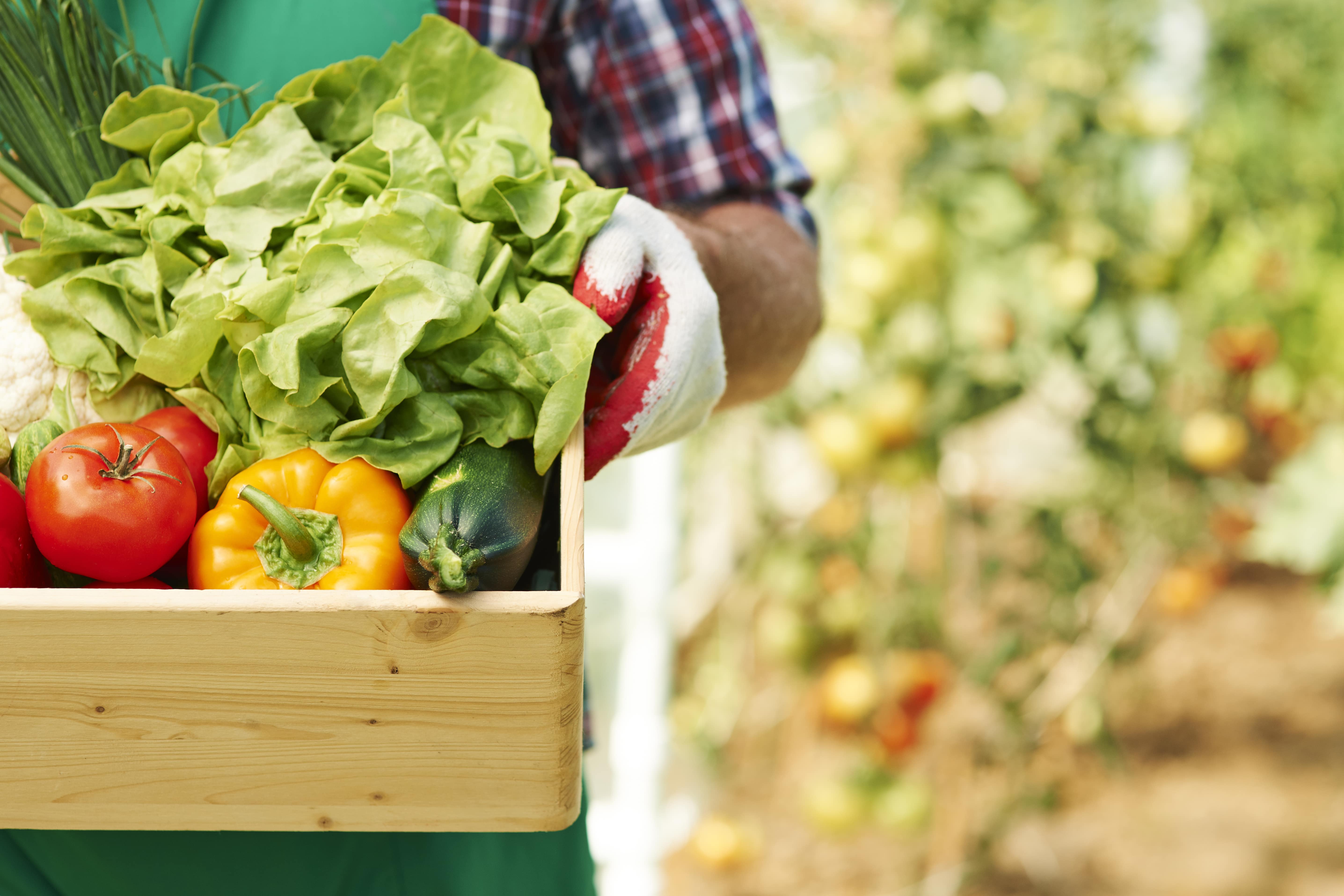 FOOD SECURITY AND POVERTY REDUCTION