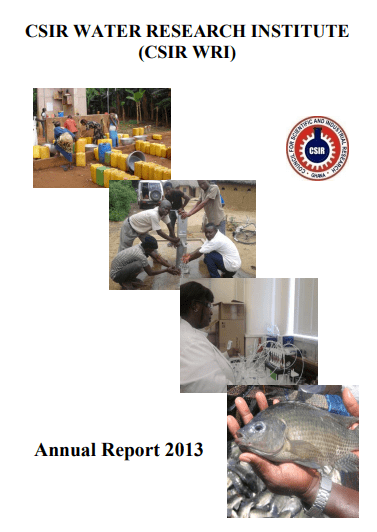 2013 Annual Report