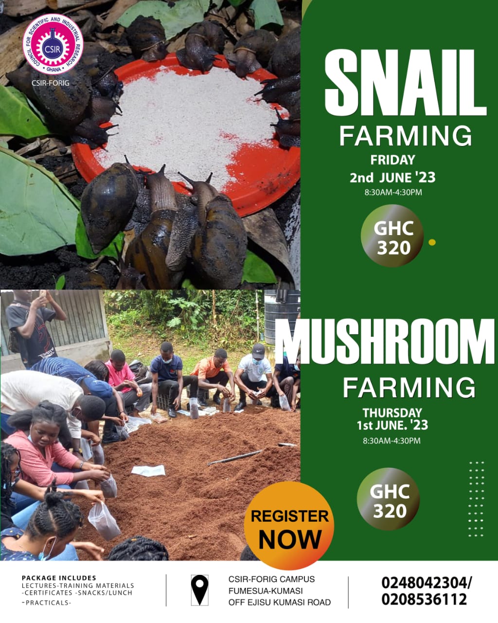 Snail Farming